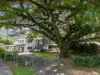 42 Millhouse Close, Edmonton, Qld 4869-Image