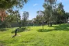 42 Mills Terrace, North Adelaide, SA 5006-Image