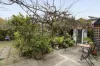 42 Naroon Road, Alphington, Vic 3078-Image