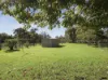 42 Newry Island Drive, Urunga, NSW 2455-Image