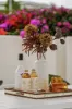 42 Nineteenth Avenue, Palm Beach, Qld 4221-Image