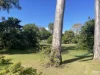 42 Palmwood Drive, Dundowran Beach, Qld 4655-Image