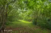 42 Parsons Road, Gympie, Qld 4570-Image