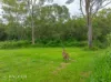42 Parsons Road, Gympie, Qld 4570-Image