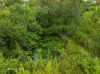 42 Parsons Road, Gympie, Qld 4570-Image