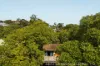 42 Prospect Terrace, St Lucia, Qld 4067-Image