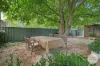 42 Pryor Street, Quirindi, NSW 2343-Image