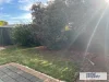 42 Riesling Crescent, Andrews Farm, SA 5114-Image
