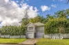 42 Rigby Street, Nambour, Qld 4560