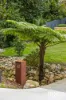 42 Robertson Street, Coniston, NSW 2500-Image