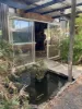 42 Strelly Street, Busselton, WA 6280-Image