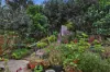 42 Tamarind Street, Maleny, Qld 4552-Image