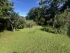 42 Tamarind Street, Maleny, Qld 4552-Image