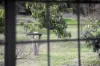42 Valley View Drive, Chittering, WA 6084-Image