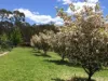 420 Mulwaree Drive, Tallong, NSW 2579-Image