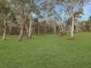 420 Mulwaree Drive, Tallong, NSW 2579-Image