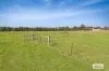 421 Laanecoorie-Newbridge Road, Newbridge, Vic 3551-Image