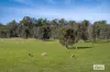 421 Laanecoorie-Newbridge Road, Newbridge, Vic 3551-Image