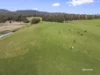 422 Mountain River Road, Mountain River, Tas 7109-Image