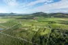 423 Gregory Cannon Valley Road, Strathdickie, Qld 4800-Image