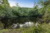 423 Gregory Cannon Valley Road, Strathdickie, Qld 4800-Image