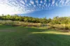 423 Gregory Cannon Valley Road, Strathdickie, Qld 4800-Image