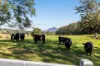 423 Hydes Creek Road, Bellingen, NSW 2454-Image