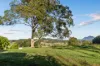 423 Hydes Creek Road, Bellingen, NSW 2454-Image