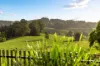 423 Hydes Creek Road, Bellingen, NSW 2454-Image