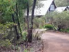 423 Sebbes Rd, Forest Grove, WA 6286-Image