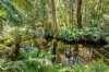 424 Old Warburton Road, Warburton, Vic 3799-Image