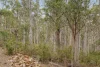 425 Halls Track Road, Sandfly, Tas 7150-Image