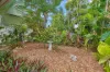 426 Varley Street, Yorkeys Knob, Qld 4878-Image