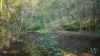 428 Cedar Creek Road, Gheerulla, Qld 4574-Image
