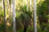 428 Cedar Creek Road, Gheerulla, Qld 4574-Image