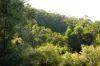 428 Cedar Creek Road, Gheerulla, Qld 4574-Image