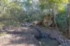 428 Cedar Creek Road, Gheerulla, Qld 4574-Image