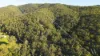 428 Cedar Creek Road, Gheerulla, Qld 4574-Image
