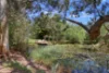 428 Mcdonalds Track, Hernes Oak, Vic 3825-Image