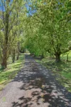 428 Mcdonalds Track, Hernes Oak, Vic 3825-Image