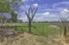 428 Mitchell Road, Echuca, Vic 3564-Image