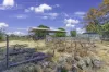 428 Mitchell Road, Echuca, Vic 3564-Image