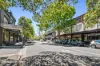 429 Crown Street, Surry Hills, NSW 2010-Image