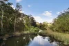 429 Leggetts Drive, Richmond Vale, NSW 2323-Image
