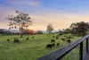 429A Main Western Road, Tamborine Mountain, Qld 4272