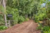 42A Nadi Lane, North Maleny, Qld 4552-Image
