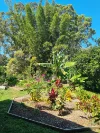 43-45 Ilya Street, Macleay Island, Qld 4184-Image