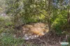 43-49 Samantha Road, Cedar Vale, Qld 4285-Image