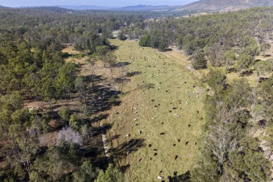43 & 50 Kaliwa Road, Mingo, Qld 4625