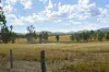 43 & 50 Kaliwa Road, Mingo, Qld 4625-Image